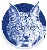 Opticalince