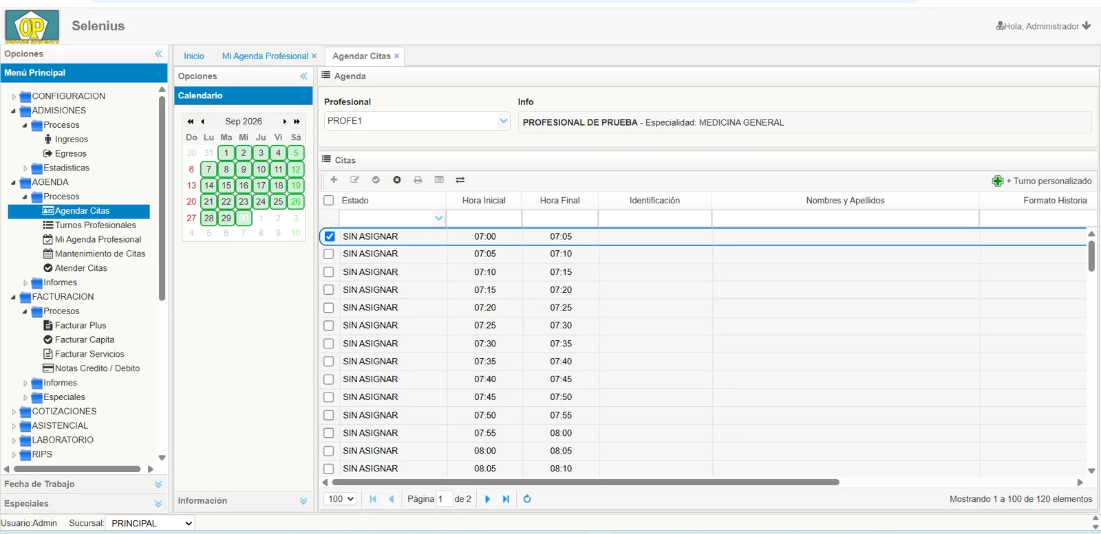 Agenda profesional de Selenius Software