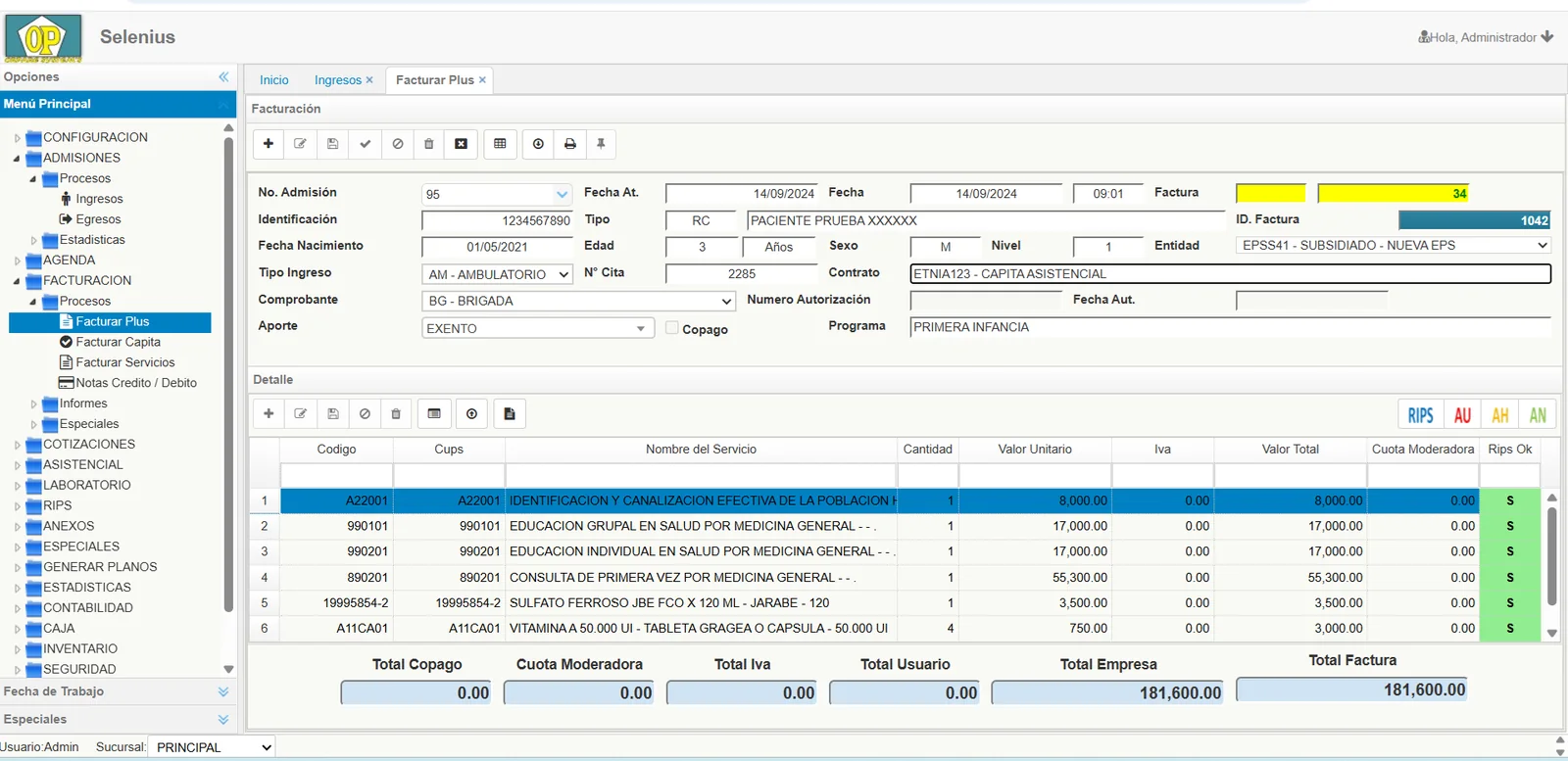Módulo de facturación de Selenius Software